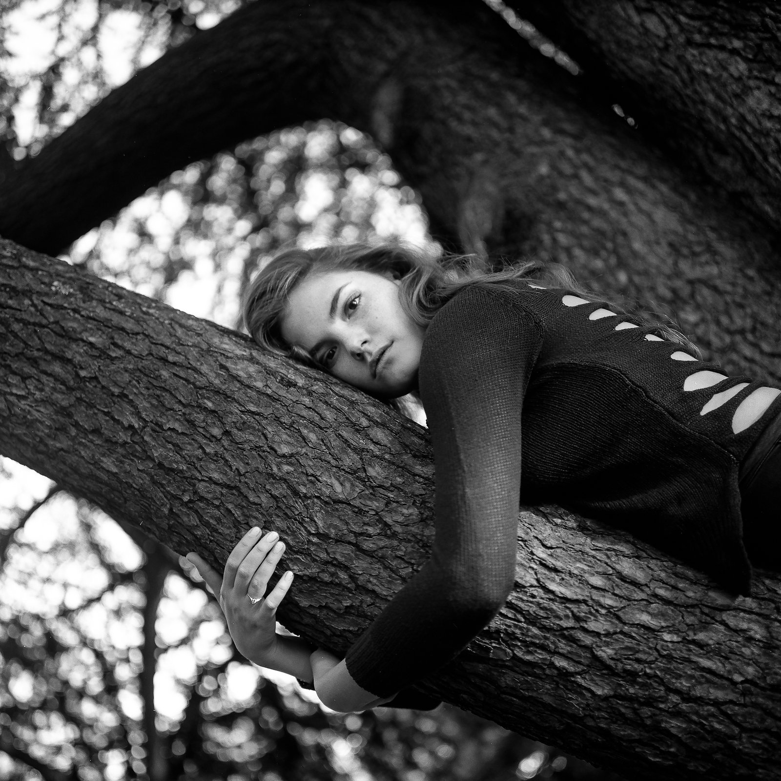Nu allongée sur une branche d'arbre