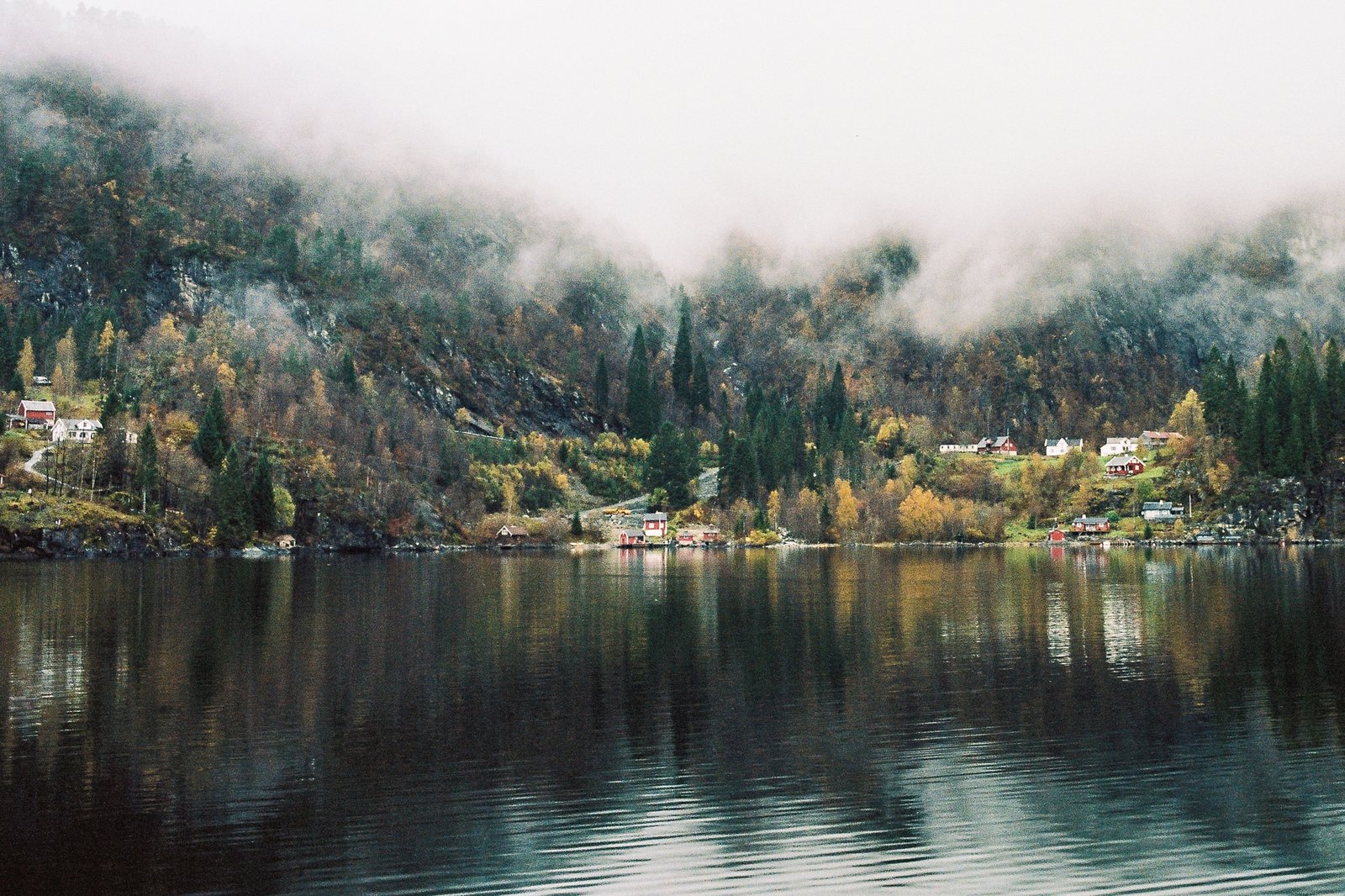 Village au bord d'un fjord dans la brume