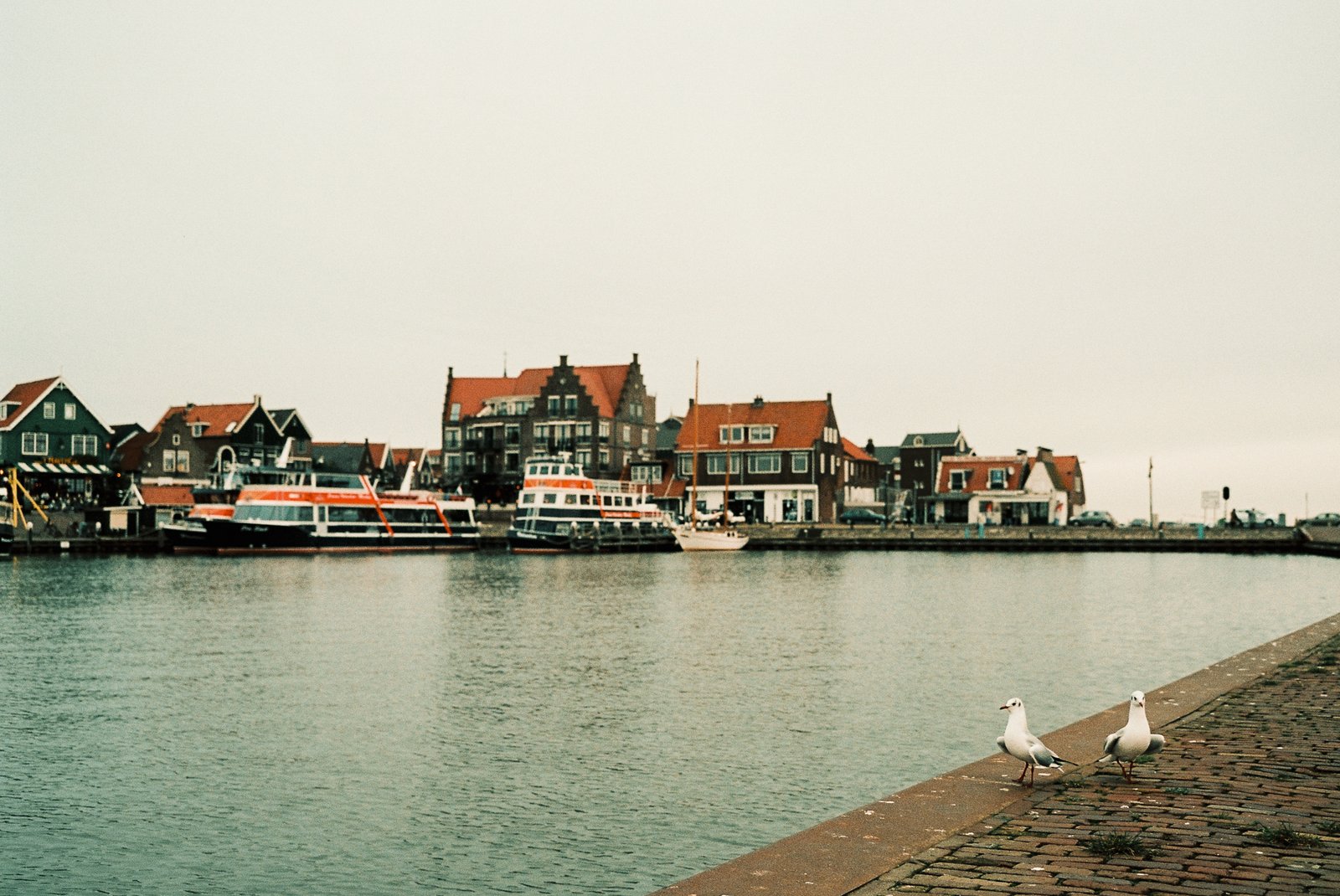 Front de mer aux maisons hollandaises, mouettes sur le quai