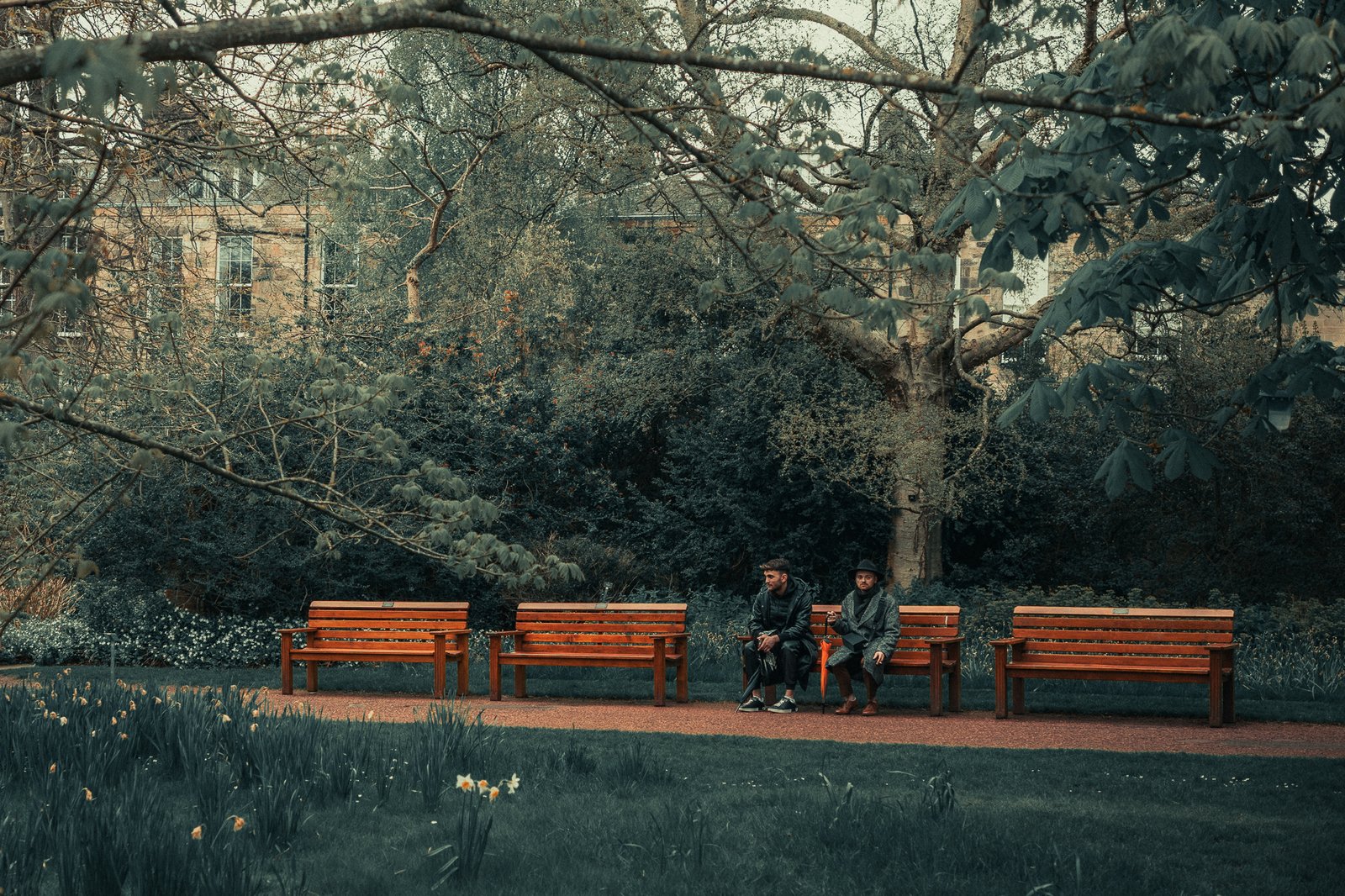 Hommes assis sur un banc dans un parc