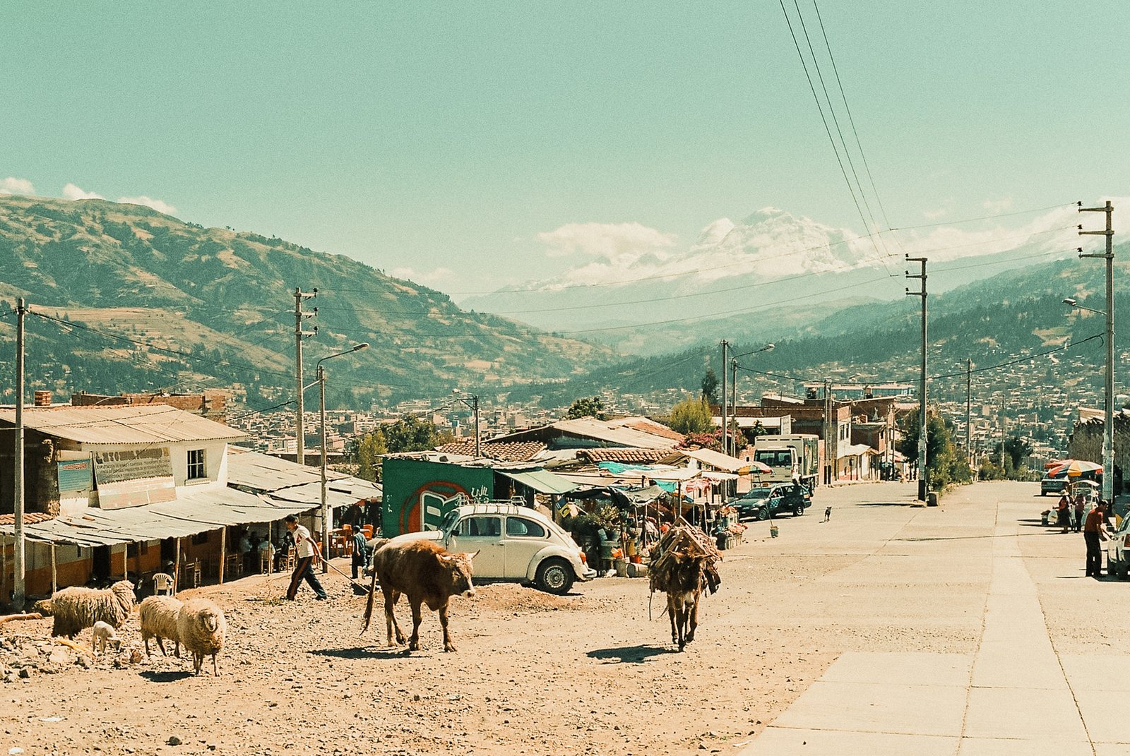 Rue de village andin avec animaux en liberté, montagnes enneigées