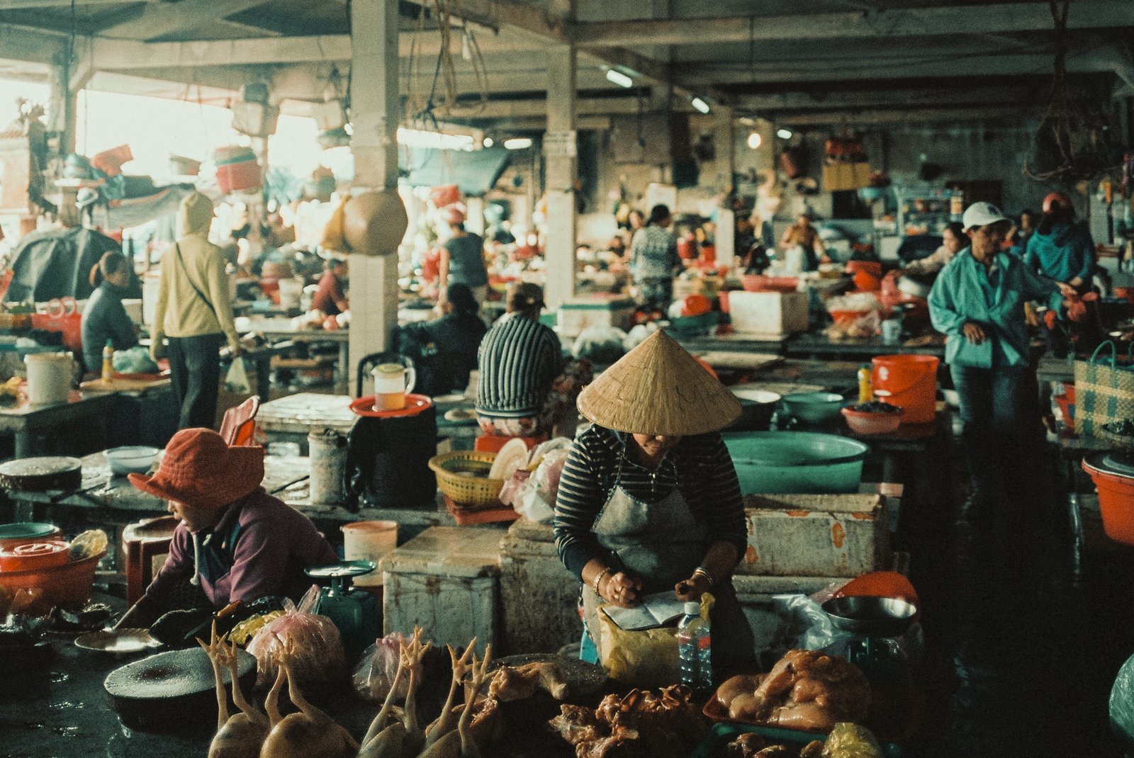Marché couvert vietnamien, vendeuses de volaille