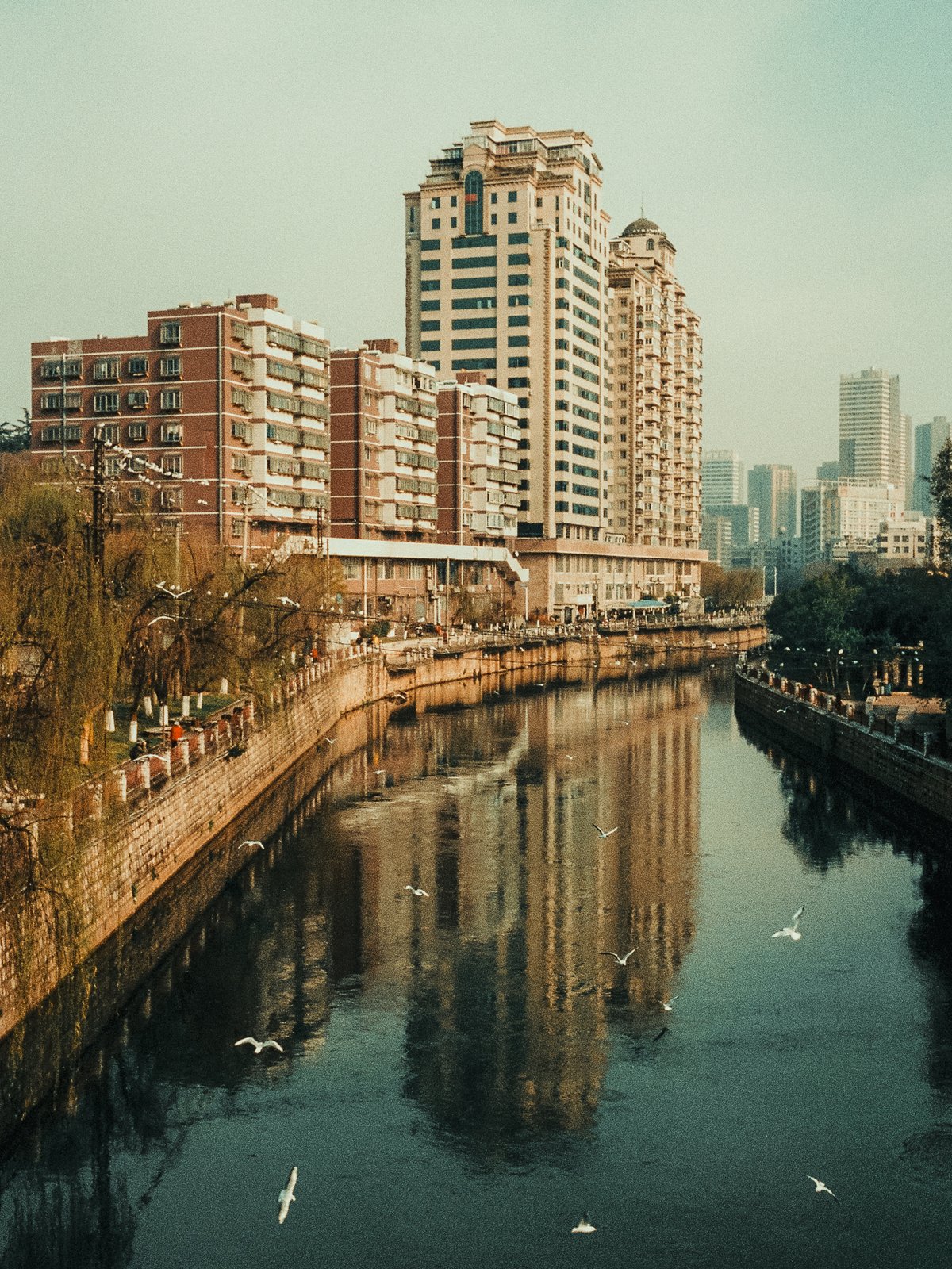 Fleuve urbain bordé de tours résidentielles, Chine