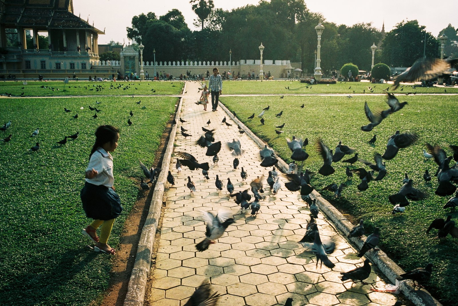 Enfant courant parmi les pigeons devant le Palais royal, Phnom Penh